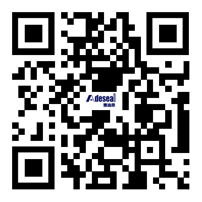 ADESEAL CHINA 雅迪思